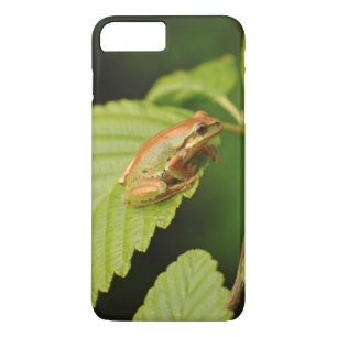 Capa iPhone 8 Plus/7 Plus EUA, Washington, Seattle, Discovery Park