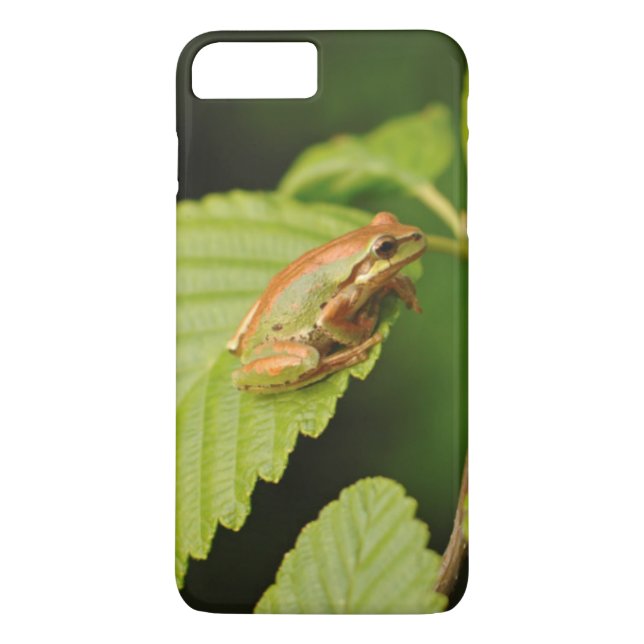 Capa Para iPhone, Case-Mate EUA, Washington, Seattle, Discovery Park (Verso)