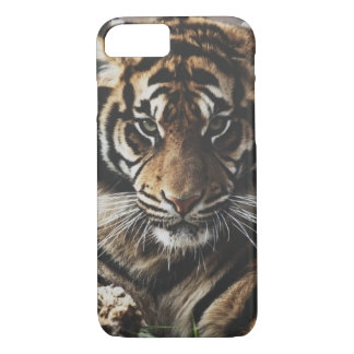 Capa iPhone 8/ 7 Exemplo do tigre