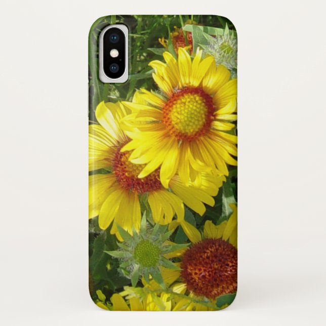 Capa Para iPhone, Case-Mate F6 Flores Silvestres Amarelas Gaillardia (Verso)