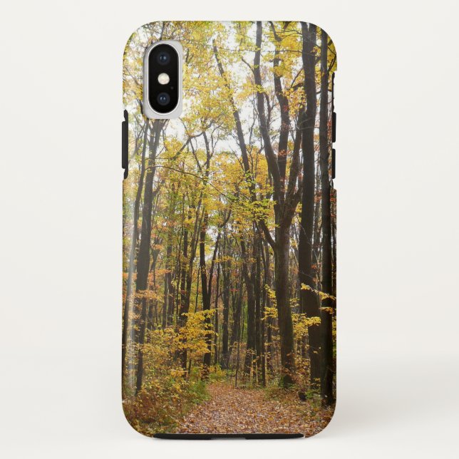 Capa Para iPhone, Case-Mate Fall Trail and Ouro Leaves no Laurel Hill Park (Verso)