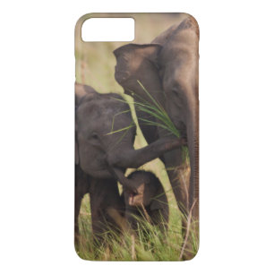 Capa iPhone 8 Plus/7 Plus Família de Elefantes Asiáticos Indianos na Savana