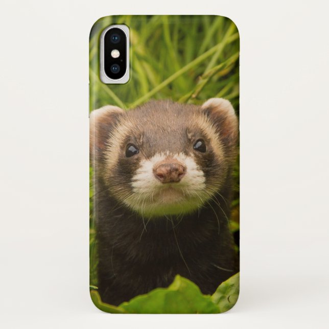 Capa Para iPhone, Case-Mate Ferreto castanho-bonito na grama (Verso)