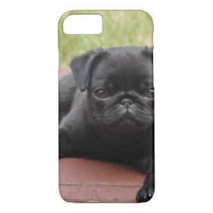 CAPA PARA iPhone DA Case-Mate FILHOTE DE CACHORRO ALERTA DO PUG
