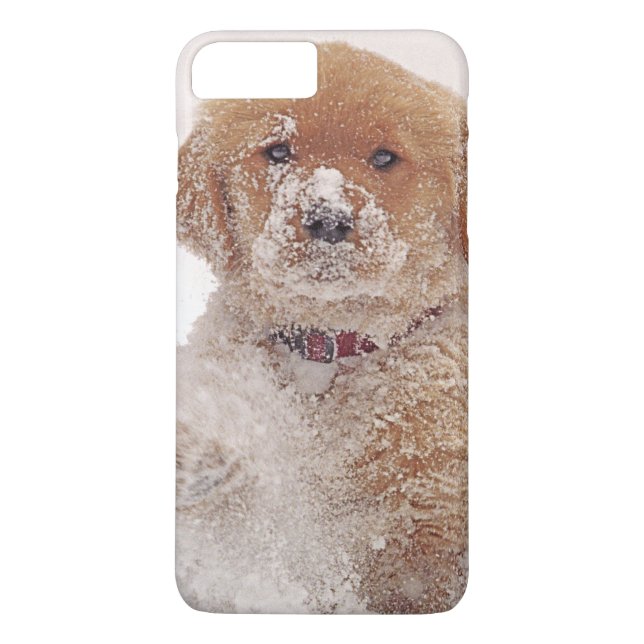 Capa Para iPhone, Case-Mate Filhote de Retriever Dourado na Neve (Verso)