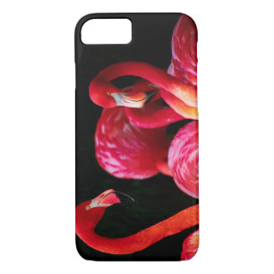 Capa Para iPhone Da Case-Mate flamingo rosa-elegante