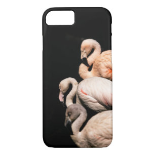 Capa iPhone 8/ 7 flamingo rosa-elegante