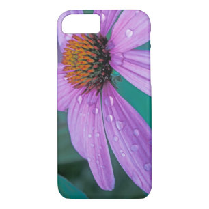 Capa iPhone 8/ 7 Flor de Cone roxo com gotas d'água