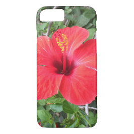 Capa iPhone 8/ 7 Flor Red Hibiscus