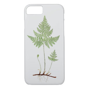 Capa iPhone 8/ 7 Flor simples,