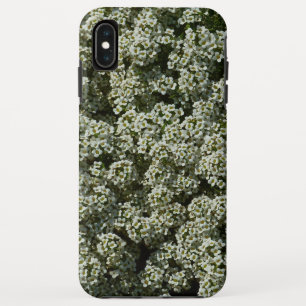 Capa Para iPhone Da Case-Mate Flores de Alyssum Doce Floral Branco