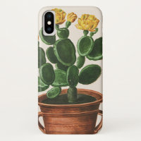 Flores de Cacto Antigos, Plantas de Cactos Suculen