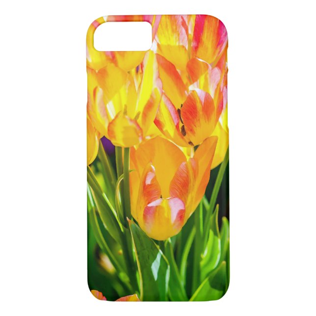 Capa Para iPhone, Case-Mate Flores de Tulipas - Farinhas (Verso)