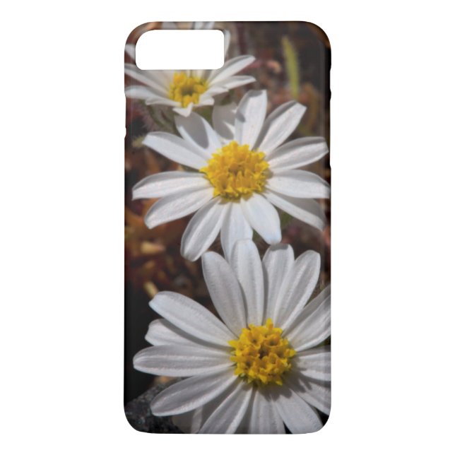 Capa Para iPhone, Case-Mate Flores Silvestres Desert Star (Verso)