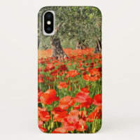 Flores vermelhas da papoila sob oliveiras velhas