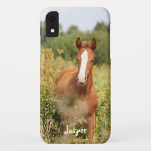 Capa Para iPhone Da Case-Mate Foto de Cavalo Equestre Personalizado