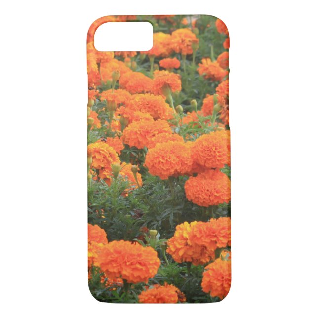 Capa Para iPhone, Case-Mate Foto Floral do bonito Orange Marigolds (Verso)