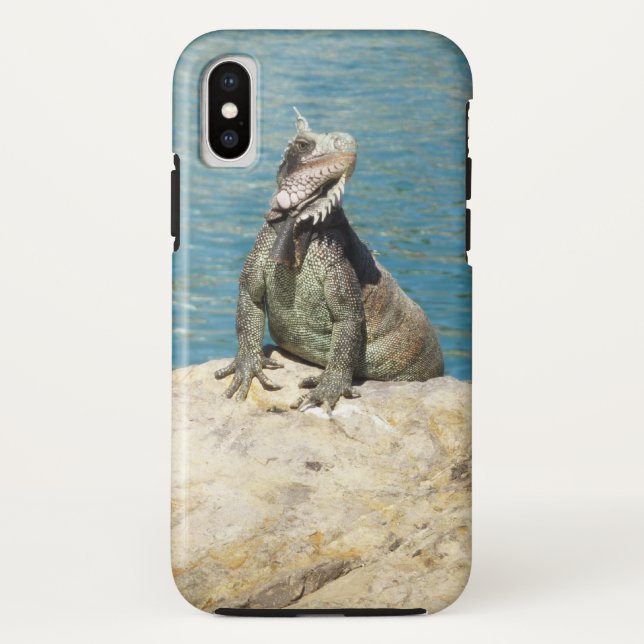Capa Para iPhone, Case-Mate Fotografia da vida selvagem tropical de Iguana na  (Verso)