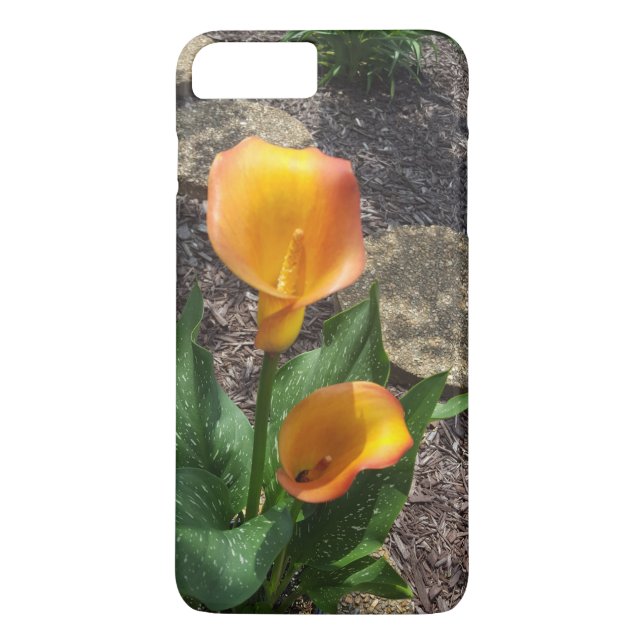Capa Para iPhone, Case-Mate Fotografia de Flores Laranja Natureza (Verso)