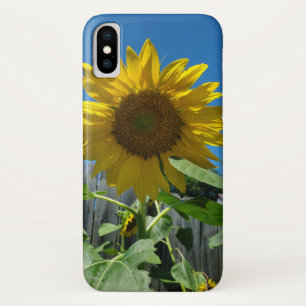 Capa Para iPhone Da Case-Mate Fotografia do Girassol Bonito