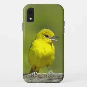 Capa Para iPhone Da Case-Mate Fotom original do Papa-Figuras - Orchard Oriole