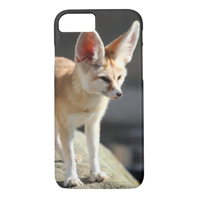 Capa Para iPhone, Case-Mate Fox de Fennec (Verso)