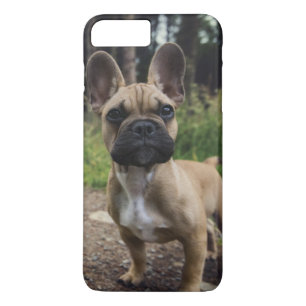 Capa iPhone 8 Plus/7 Plus French Bulldog Throw Pillow