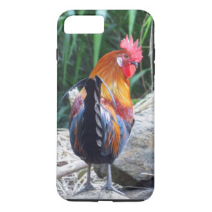 Capa iPhone 8 Plus/7 Plus Galo havaiano