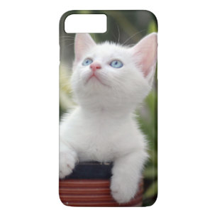 Capa Para iPhone Da Case-Mate Gatinho branco turco