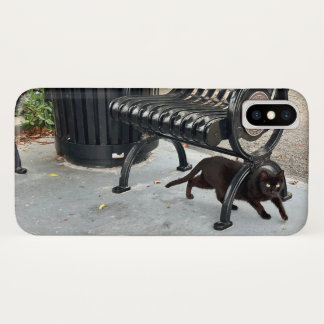 Capa Para iPhone Da Case-Mate Gatinho no Parque
