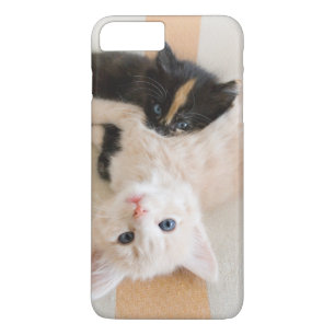 Capa Para iPhone Da Case-Mate Gatinhos brancos e pretos