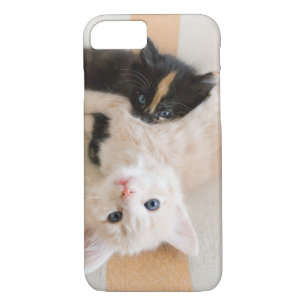 Capa iPhone 8/ 7 Gatinhos brancos e pretos