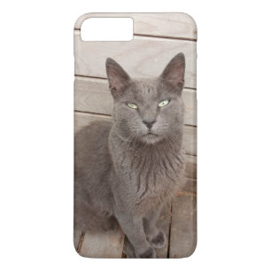 Capa iPhone 8 Plus/7 Plus Gato