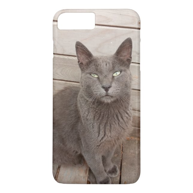 Capa Para iPhone, Case-Mate Gato (Verso)