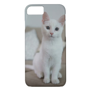 Capa iPhone 8/ 7 Gato branco   Zazzle_Growth.