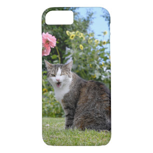 Capa iPhone 8/ 7 gato de mesa piscando na grama