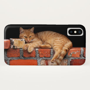 Capa Para iPhone X Gato na Parede Brick