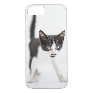 Capa Para iPhone Da Case-Mate Gato pequeno