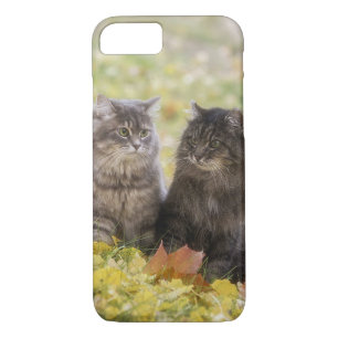 Capa iPhone 8/ 7 Gatos