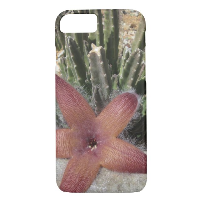 Capa Para iPhone, Case-Mate Gelado de Starfish Cactus (Verso)
