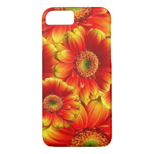 Capa iPhone 8/ 7 Gerbera Daisies brilhante
