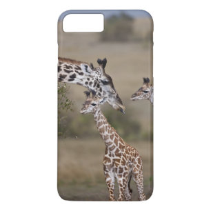 Capa Para iPhone Da Case-Mate Girafa Masai (Giraffa tippelskirchi)