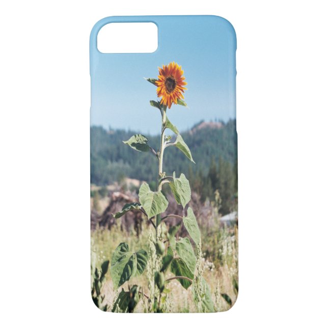 Capa Para iPhone, Case-Mate Girassóis de Verão....... (Verso)