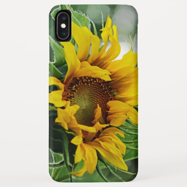 Capa Para iPhone, Case-Mate Girassol (Verso)