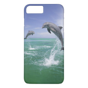 Capa iPhone 8 Plus/7 Plus Golfinho-nariz-de-garrafa Tursiops truncatus