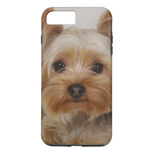Capa iPhone 8 Plus/7 Plus Gorgeous Yorkshire Terrier
