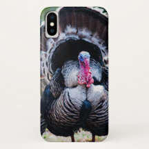 Grande Ação de Graças Festivo Turquia