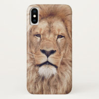 Grande Rei Gato de Leão da África