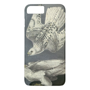 Capa Para iPhone Da Case-Mate Gyrfalcon por Audubon