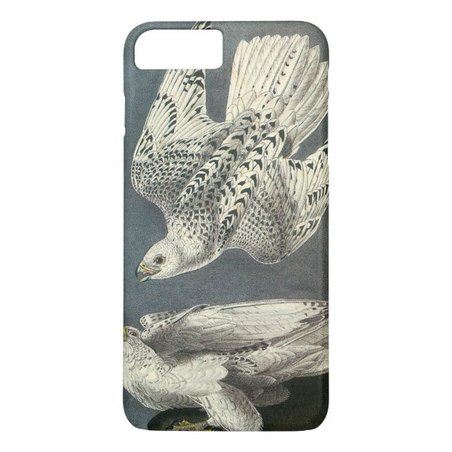 Capa Para iPhone, Case-Mate Gyrfalcon por Audubon (Verso)
